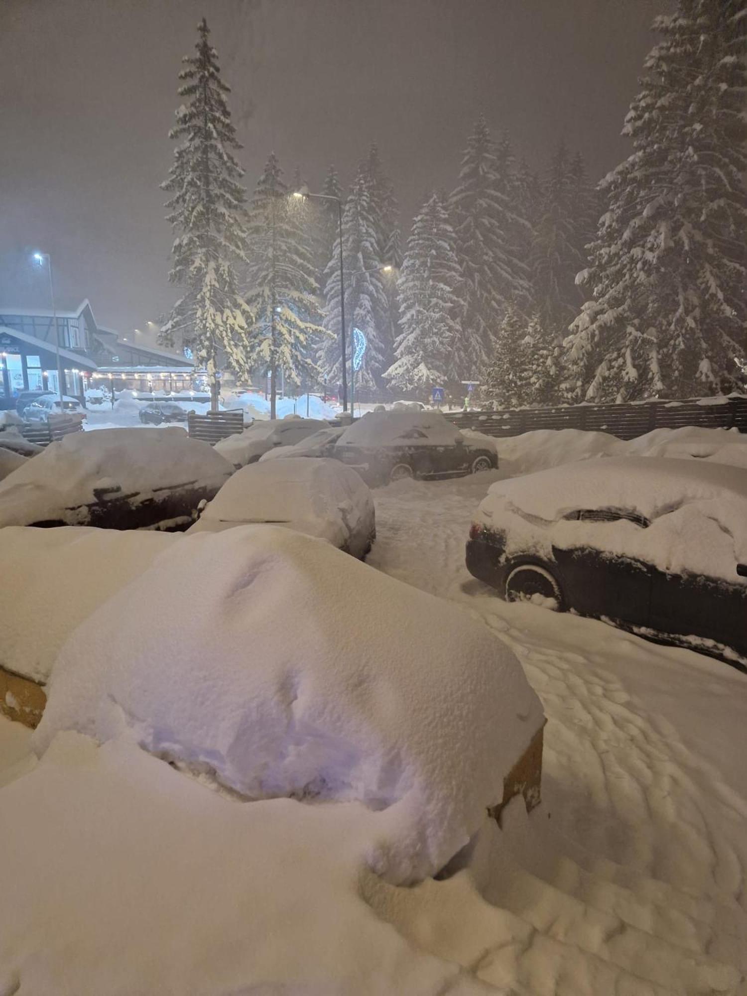 Vila Pinul Si Mesteacanul Poiana Brasov Exterior photo