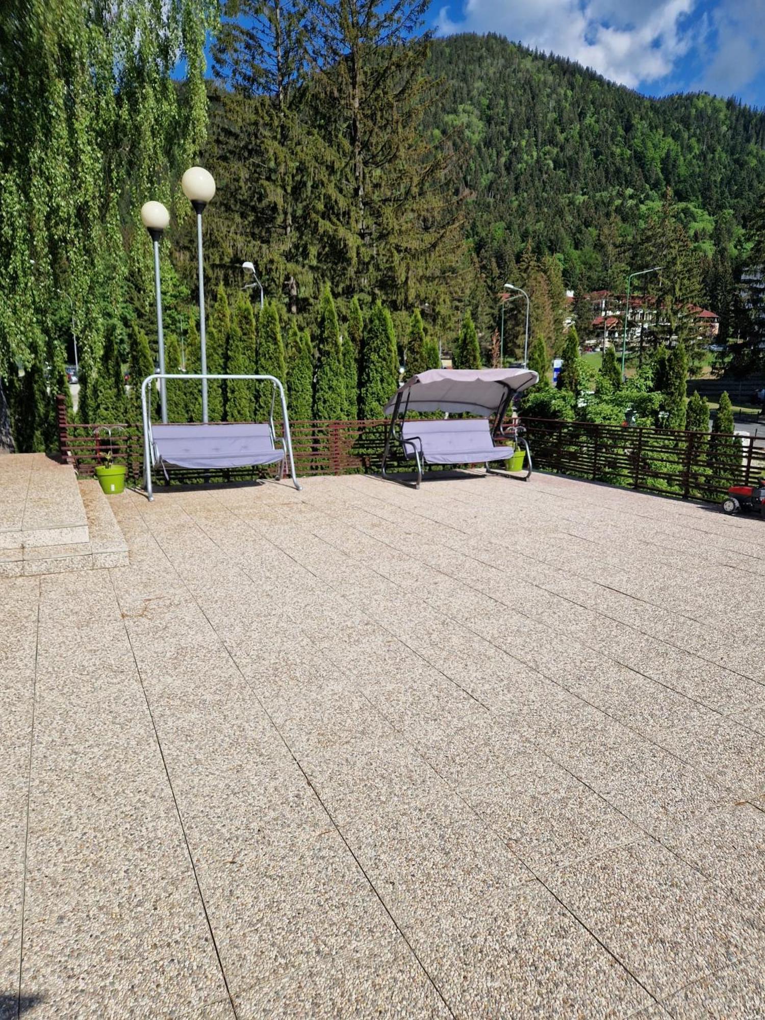 Vila Pinul Si Mesteacanul Poiana Brasov Exterior photo